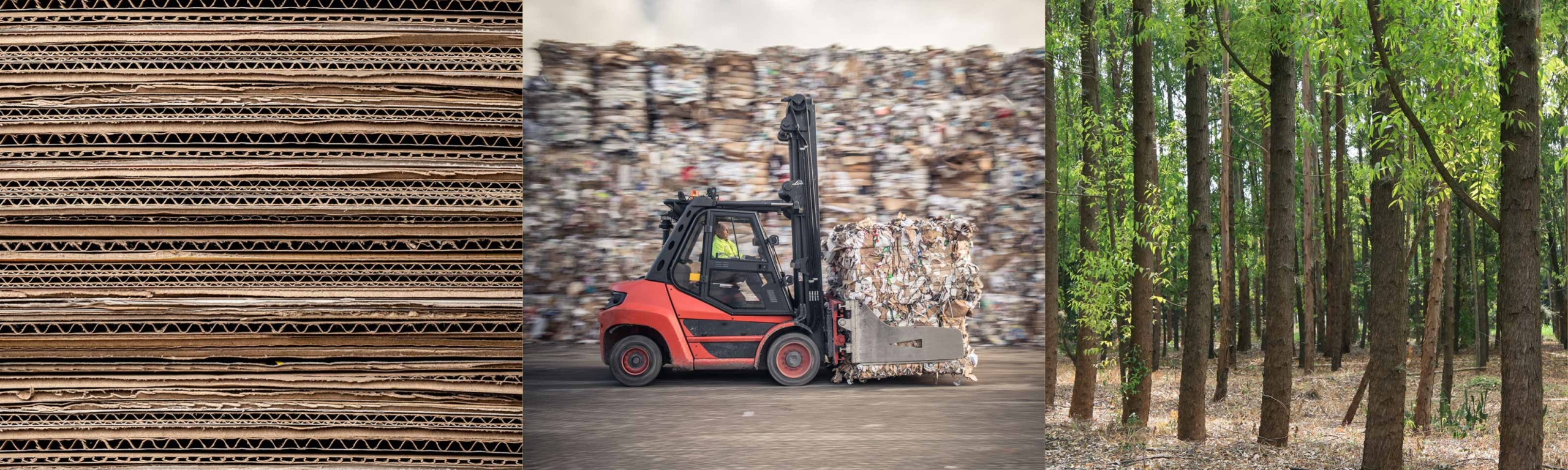 Drie foto’s naast elkaar. Een foto van karton, een foto van karton-residu klaar voor recyclage en een foto van 1 van de Smurfit Kappa bossen.